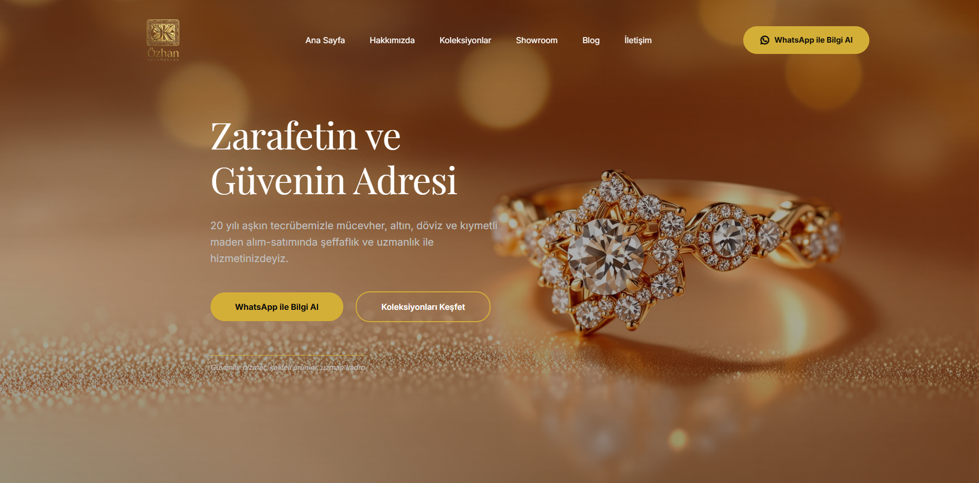 web development project built with AI website builder