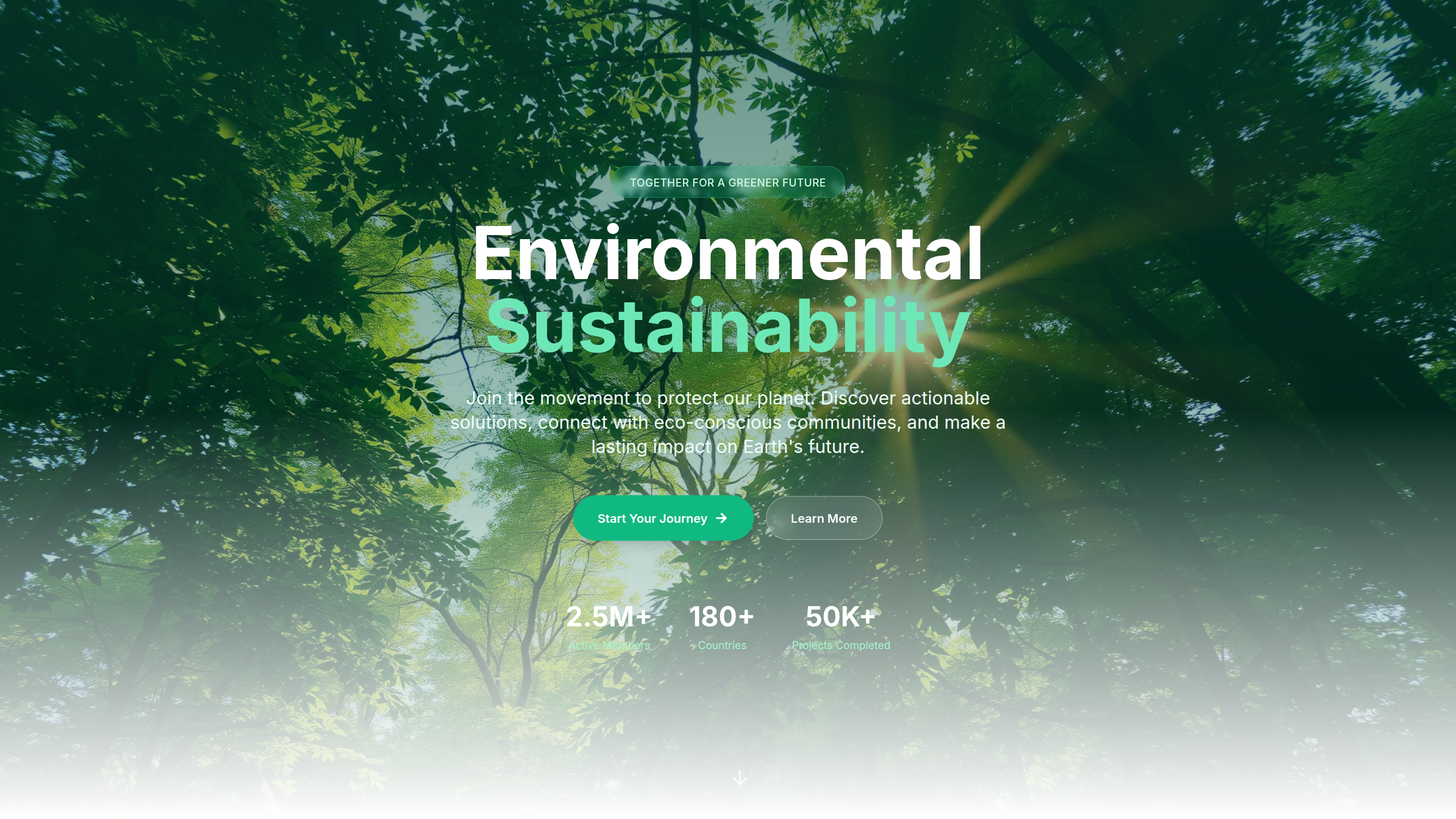 Environmental Sustainability