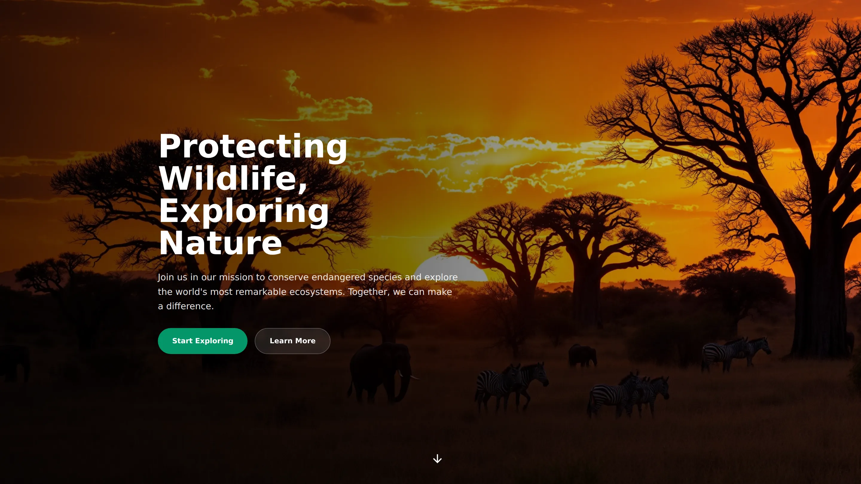Wildlife Conservation & Exploration